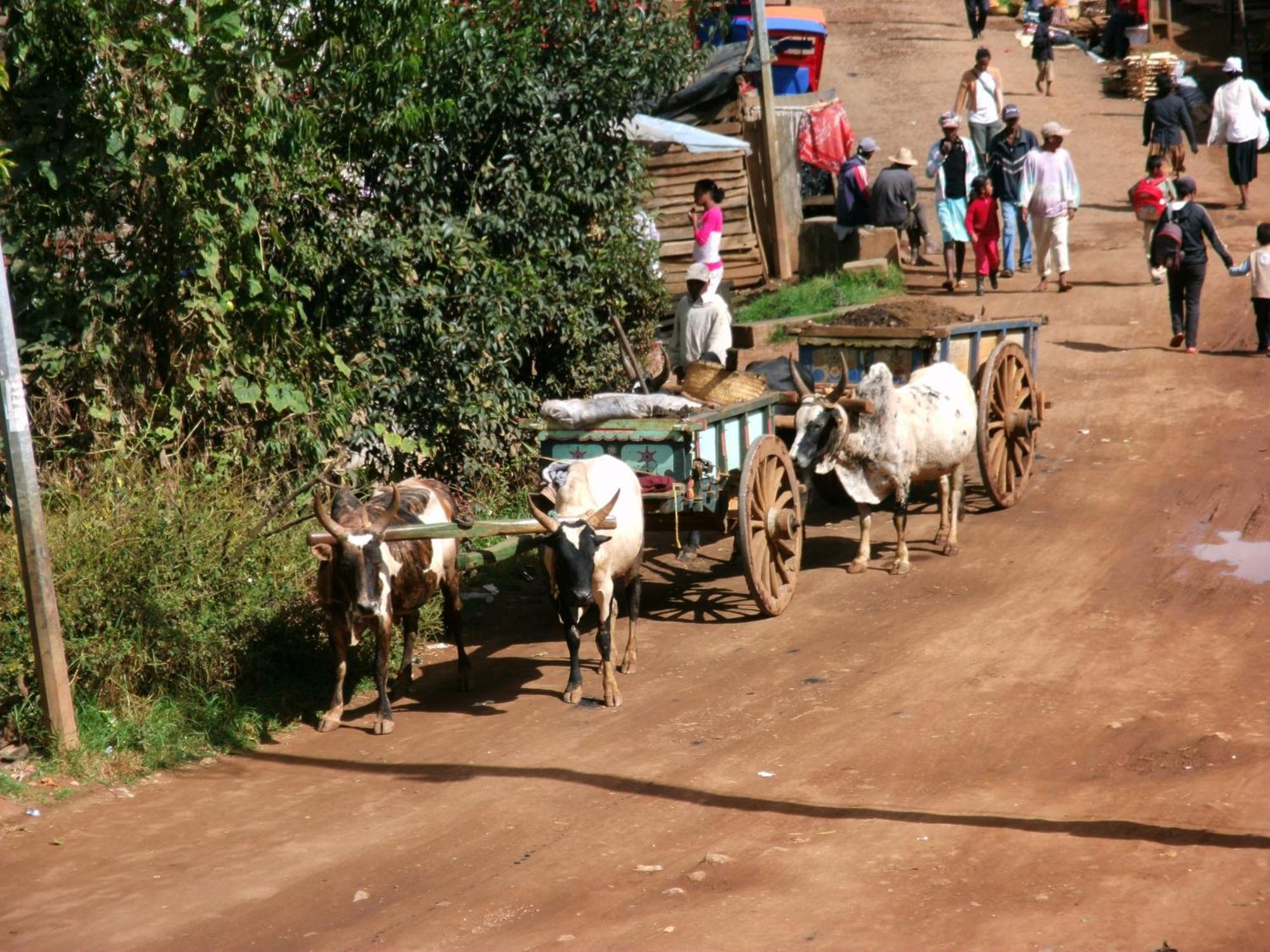 Appartements D'Hotes Marciloui Antsirabe Luaran gambar